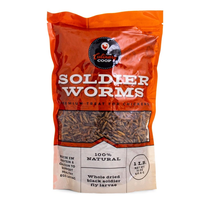 Fluker's Culinary Coop Premium Chicken Treats, Dried Soldier Worms, Packed with Protein and Calcium, 100% Natural Rich Grubs for Chicken, Backyard Birds, and Reptiles, 16 oz - Image 1